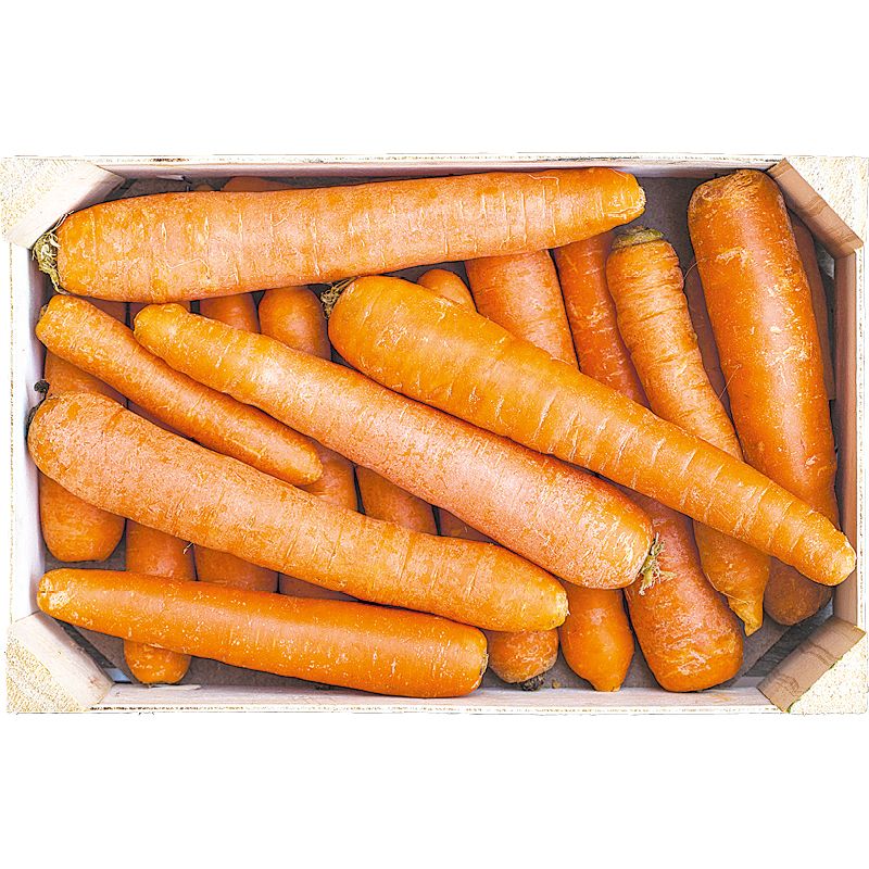 Sárgarépa 1kg-os